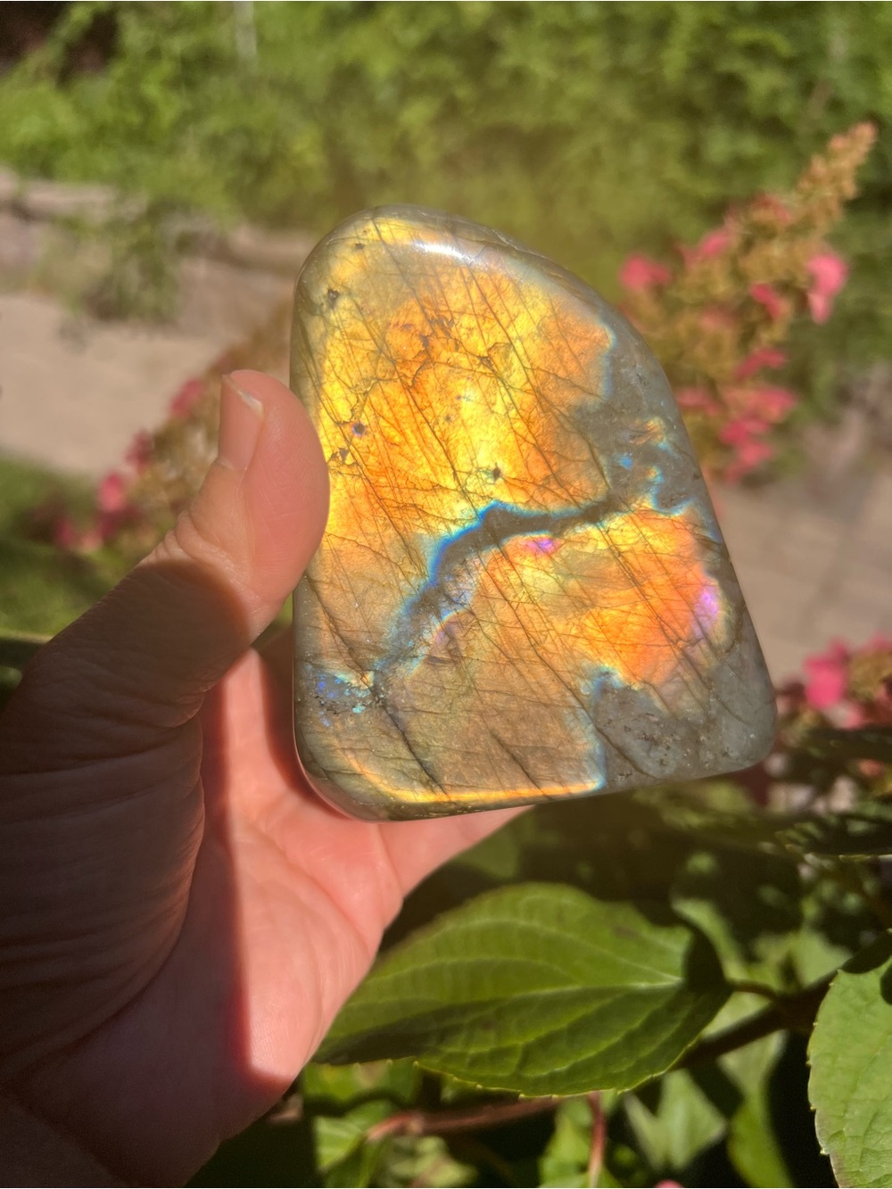 Labradorite (9) Freeform | crystal